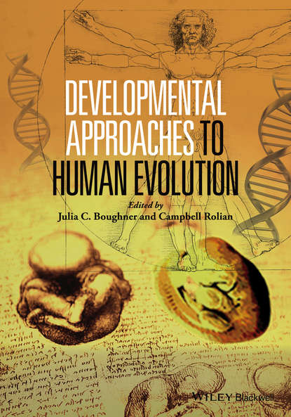 Developmental Approaches to Human Evolution — Группа авторов