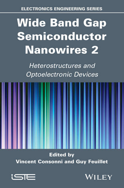 Wide Band Gap Semiconductor Nanowires 2 — Группа авторов