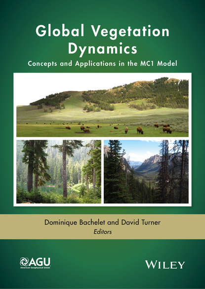 Global Vegetation Dynamics — Группа авторов