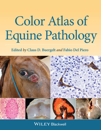 Color Atlas of Equine Pathology — Группа авторов