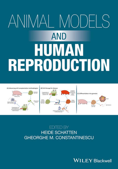 Animal Models and Human Reproduction — Группа авторов