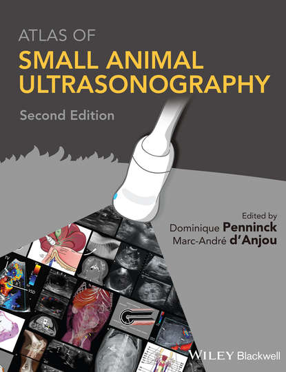 Atlas of Small Animal Ultrasonography — Группа авторов