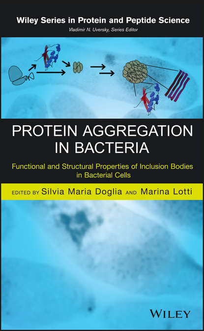 Protein Aggregation in Bacteria — Группа авторов