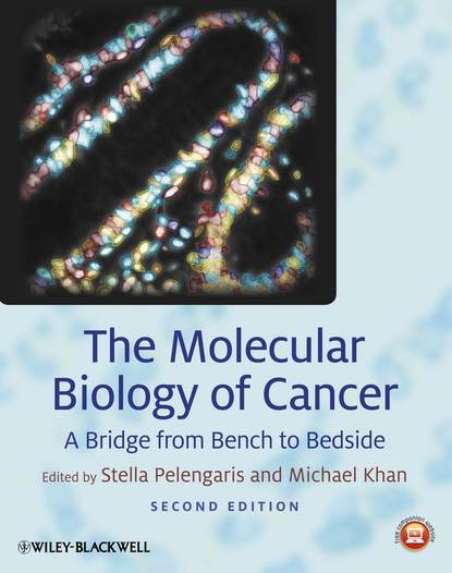 The Molecular Biology of Cancer — Группа авторов