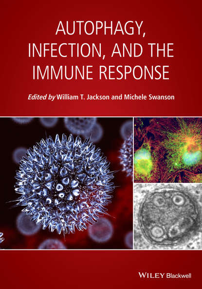 Autophagy, Infection, and the Immune Response — Группа авторов