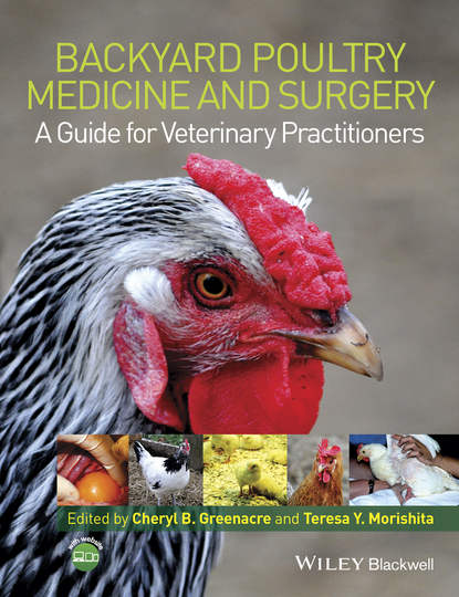 Backyard Poultry Medicine and Surgery — Группа авторов