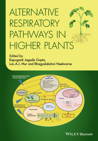 Alternative Respiratory Pathways in Higher Plants — Группа авторов