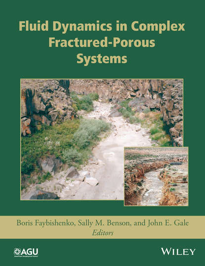 Fluid Dynamics in Complex Fractured-Porous Systems — Группа авторов
