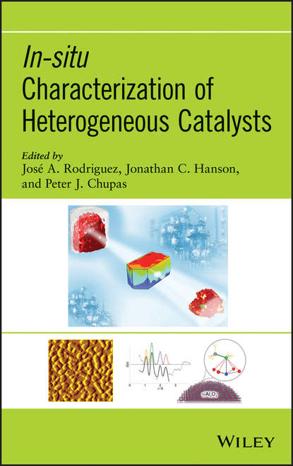 In-situ Characterization of Heterogeneous Catalysts — Группа авторов