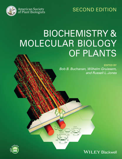 Biochemistry and Molecular Biology of Plants — Группа авторов