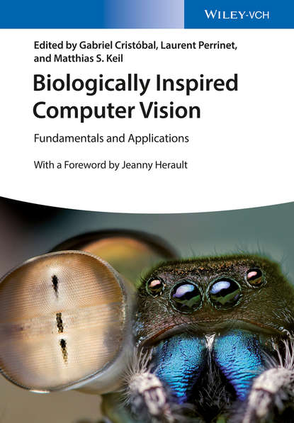 Biologically Inspired Computer Vision — Группа авторов