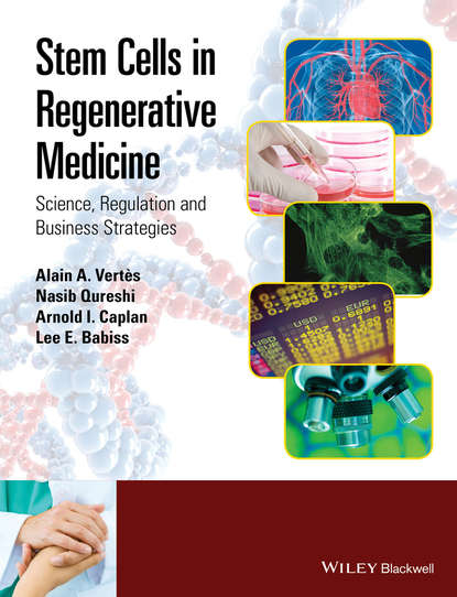 Stem Cells in Regenerative Medicine — Группа авторов