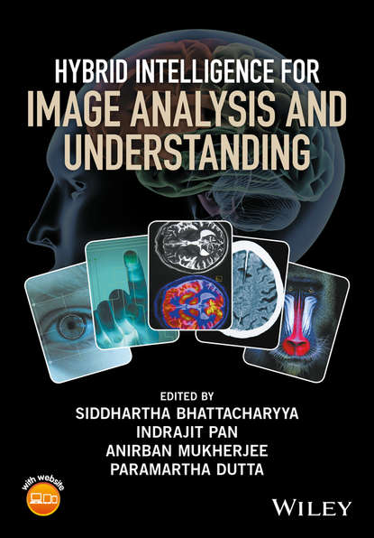 Hybrid Intelligence for Image Analysis and Understanding — Группа авторов