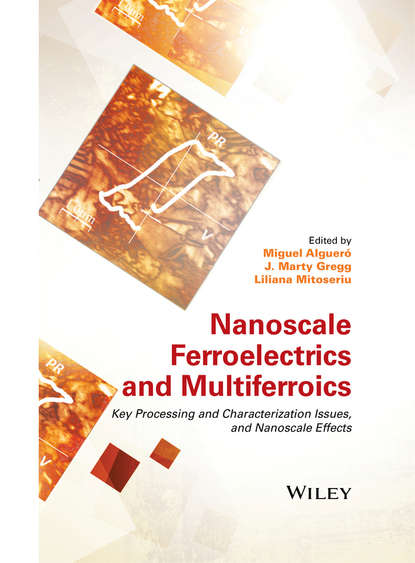 Nanoscale Ferroelectrics and Multiferroics — Группа авторов
