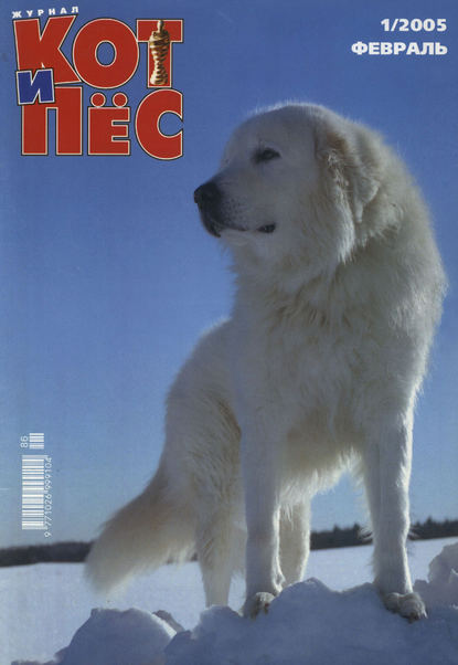 Кот и Пёс №01/2005 — Группа авторов