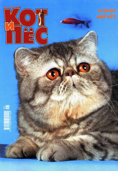 Кот и Пёс №06/2005 — Группа авторов