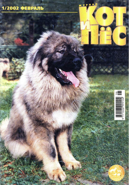 Кот и Пёс №01/2002 — Группа авторов