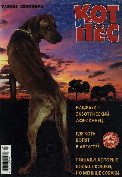 Кот и Пёс №07/2002 — Группа авторов