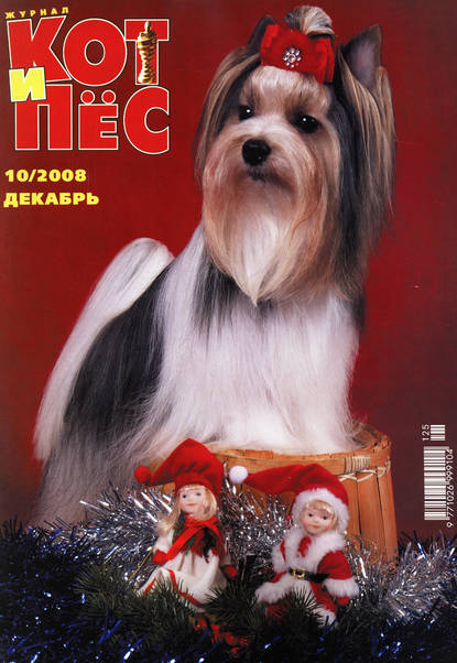 Кот и Пёс №10/2008 — Группа авторов