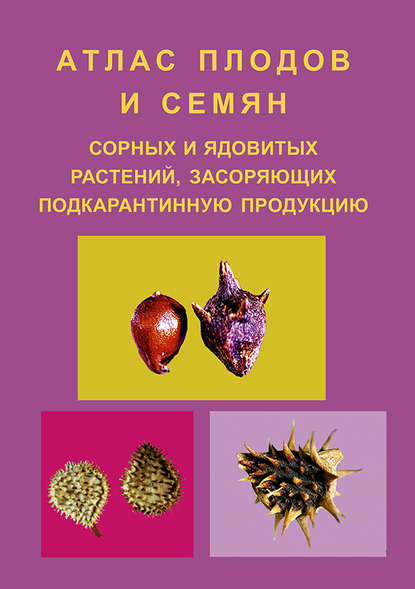 Атлас плодов и семян сорных и ядовитых растений, засоряющих подкарантинную продукцию — Елена Волкова