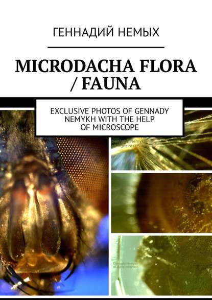 Microdacha flora / fauna. Exclusive photos of Gennady Nemykh with the help of microscope — Геннадий Немых
