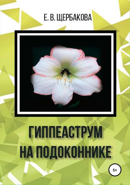 Гиппеаструм на подоконнике — Елена Владимировна Щербакова