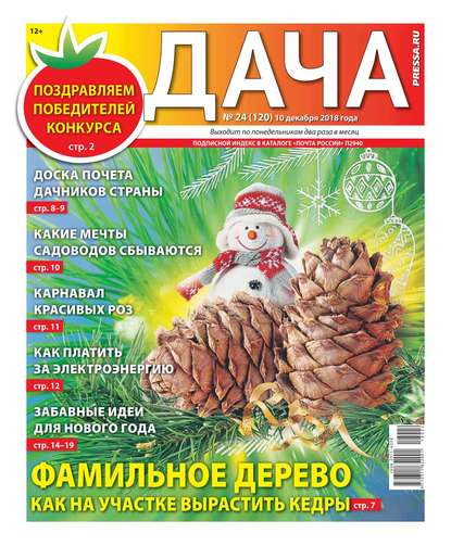 Дача Pressa.ru 24-2018 — Редакция газеты Дача Pressa.ru