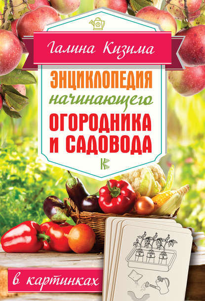 Энциклопедия начинающего огородника и садовода в картинках — Галина Кизима