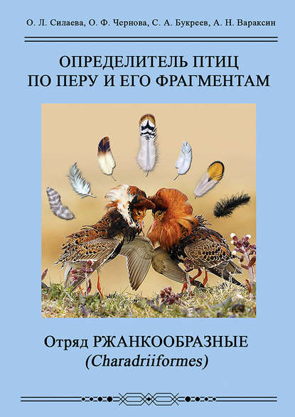 Определитель птиц по перу и его фрагментам. Отряд Ржанкообразные (Сharadriiformes) — А. Н. Вараксин