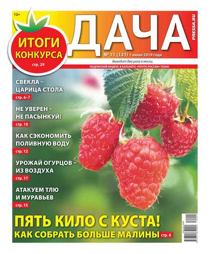 Дача Pressa.ru 11-2019 — Редакция газеты Дача Pressa.ru