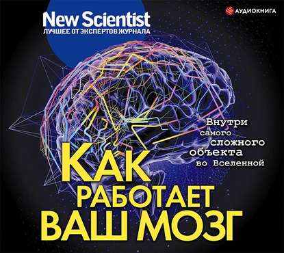 Как работает ваш мозг — Сборник