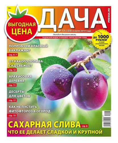 Дача Pressa.ru 13-2019 — Редакция газеты Дача Pressa.ru