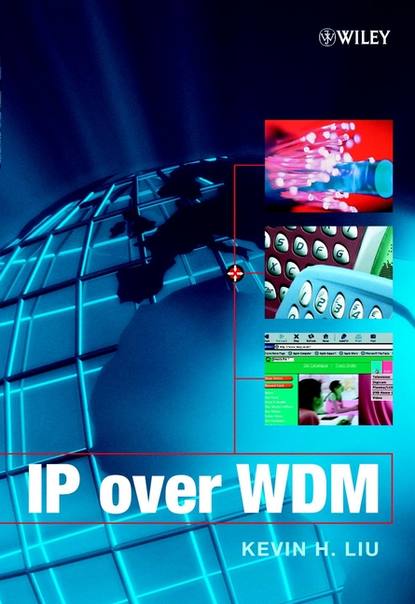 IP over WDM — Группа авторов