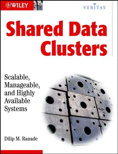 Shared Data Clusters — Группа авторов