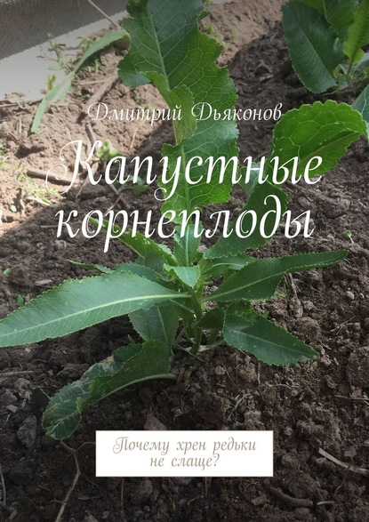 Капустные корнеплоды. Почему хрен редьки не слаще? — Дмитрий Дьяконов